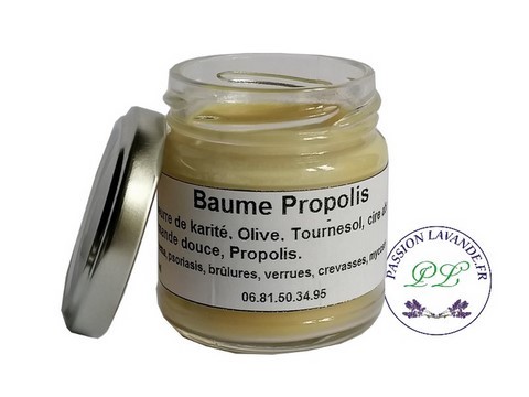Baume-propolis-cicatrisant-antiseptique-antifongique-Bio
