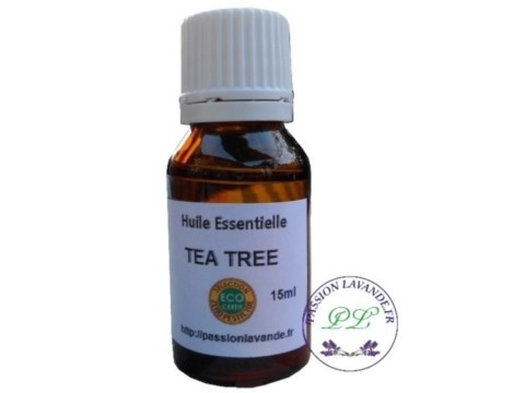 huile-essentielle-arbre-a-the-tea-tree-Bio